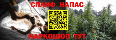 ешки Пугачёв