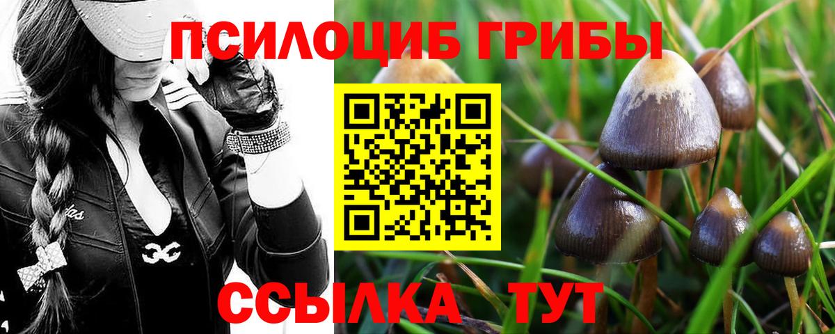 Галлюциногенные грибы Cubensis  Вход с VPN  Галлюциногенные грибы прущие грибы  Семёнов 
