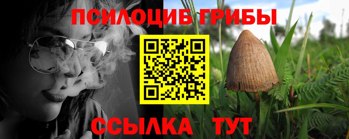 Псилоцибиновые грибы мухоморы Семёнов